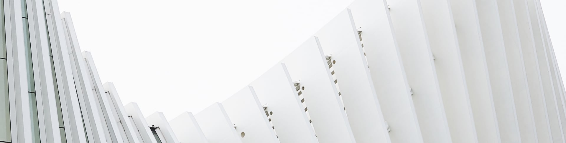 Our projects and experience